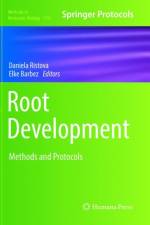 Root Development