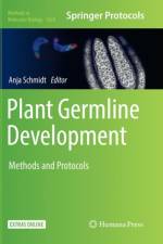 Plant Germline Development
