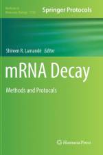 mRNA Decay