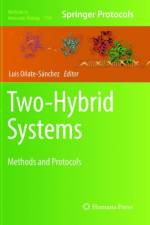 Two-Hybrid Systems