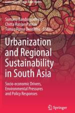 Urbanization and Regional Sustainability in South Asia