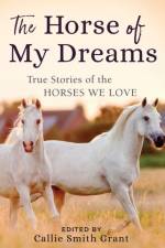 The Horse of My Dreams