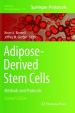 Adipose-Derived Stem Cells