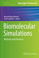 Biomolecular Simulations