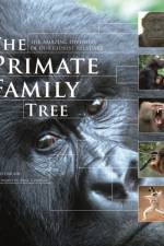 The Primate Family Tree af Ian Redmond