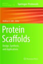 Protein Scaffolds