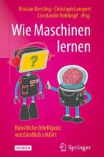 Wie Maschinen lernen