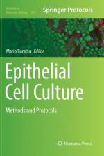 Epithelial Cell Culture