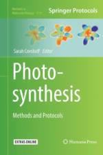 Photosynthesis