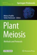 Plant Meiosis