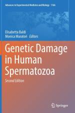 Genetic Damage in Human Spermatozoa