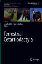 Terrestrial Cetartiodactyla
