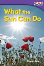 What the Sun Can Do af Sharon Coan