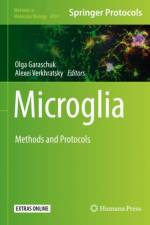 Microglia