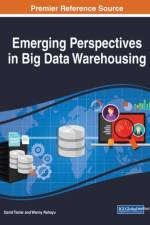 Emerging Perspectives in Big Data Warehousing