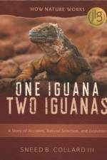 One Iguana, Two Iguanas