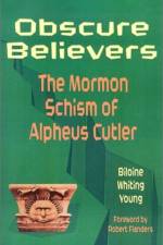 Obscure Believers af Biloine Whiting Young