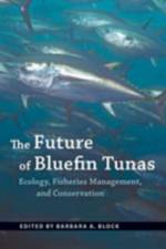 The Future of Bluefin Tunas