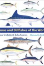 Tunas and Billfishes of the World af Bruce (Chair Collette