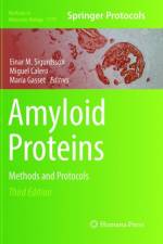 Amyloid Proteins