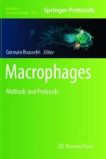 Macrophages