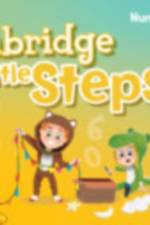 Cambridge Little Steps Level 1 Numeracy Book af Lorena Peimbert