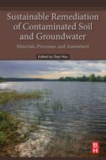 Sustainable Remediation of Contaminated Soil and Groundwater af School of Environment