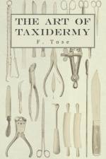 The Art of Taxidermy af F. Tose