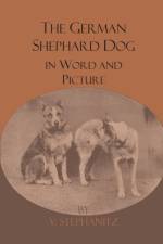 The German Shepherd Dog In Word And Picture af V. Stephanitz