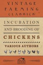 Incubation And Brooding Of Chickens af Various
