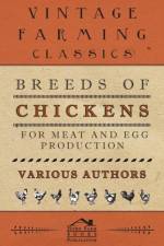 Breeds Of Chickens For Meat And Egg Production af Various