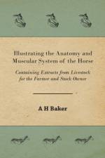Illustrating the Anatomy and Muscular System of the Horse - Containing Extracts from Livestock for the Farmer and Stock Owner af A H Baker