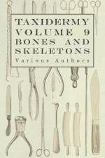 Taxidermy Vol.9 Bones and Skeletons - The Collection, Preparation and Mounting of Bones af Various (selected by the Federation of Children's Book Groups)