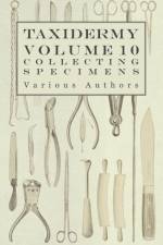 Taxidermy Vol.10 Collecting Specimens - The Collection and Displaying Taxidermy Specimens af Various (selected by the Federation of Children's Book Groups)