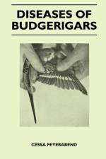 Diseases of Budgerigars af Cessa Feyerabend