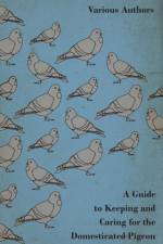 A Guide to Keeping and Caring for the Domesticated Pigeon af Various
