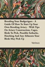 Breeding Your Budgerigars - A Guide of How to Start Up Your Own Breeding Aviary - With Tips on Aviary Construction, Cages, Birds to Pick, Possible Setbacks, Hatching and Any Ailments Your Birds May Pick Up af Various