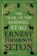Trail Of The Sandhill Stag - And 60 Drawings af Ernest Seton-Thompson