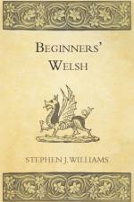 Beginners' Welsh af Stephen J. Williams