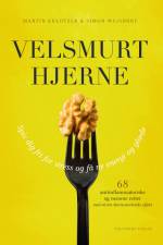 Velsmurt hjerne af Martin Kreutzer