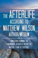 Afterlife According to Matthew Wilson Author/Medium af Matthew (College of Architecture and Planning Ball State University Muncie Indiana USA) Wilson
