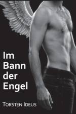 Im Bann der Engel af Torsten Ideus