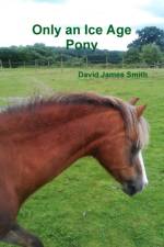 Only an Ice Age Pony af David James Smith