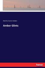 Amber Glints af Martha Everts Holden