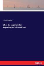 UEber die sogenannten Regenbogen-Schusselchen af Franz Streber