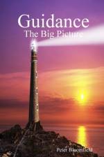 Guidance - the Big Picture af Peter Bloomfield