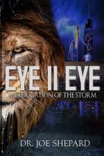 Eye II Eye: Miseducation of the Storm af Joe Shepard
