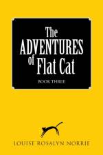 ADVENTURES of Flat Cat af Louise Rosalyn Norrie