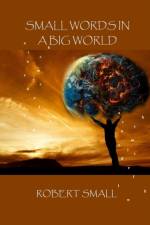 Small Words in A Big World af Robert Small