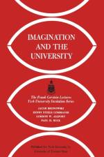 Imagination and the University